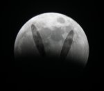 Lunar Eclipse